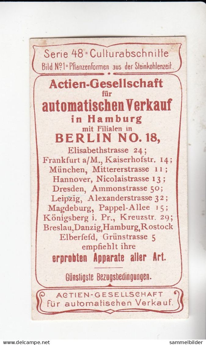 Actien Gesellschaft Culturabschnitte Pflanzenformen Aus Der Steinkohlezeit     Serie  48 #1 Von 1900 - Stollwerck