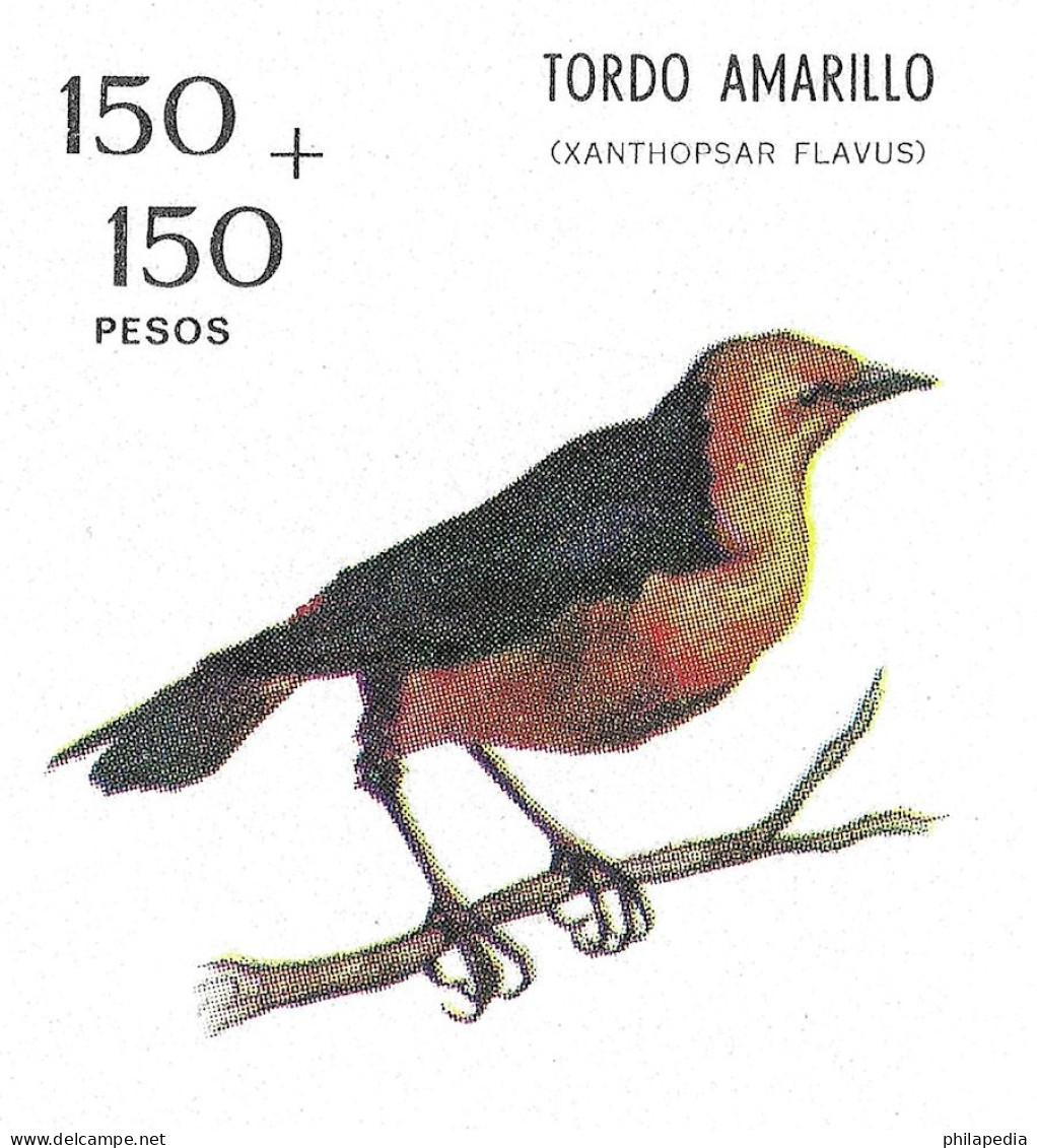 Argentine Football Oiseaux Passereaux Carouge Safran Birds Saffron Cowled Blackbird Vögel Aves Uccelli Tordo ** 1973 20€ - Zangvogels