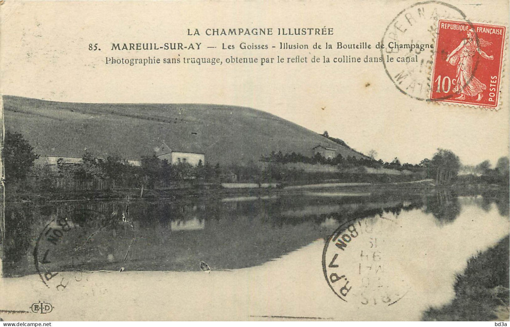 51 - MAREUIL SUR AY - Mareuil-sur-Ay