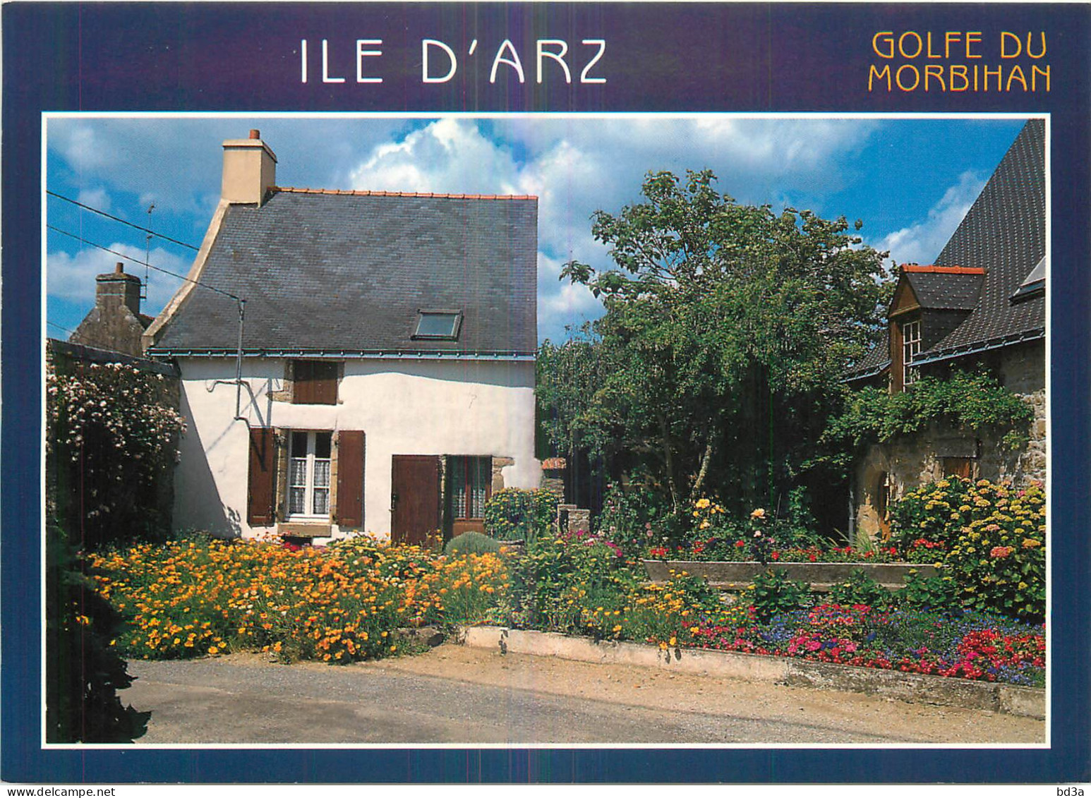 56 - ILE D'ARZ - Ile D'Arz