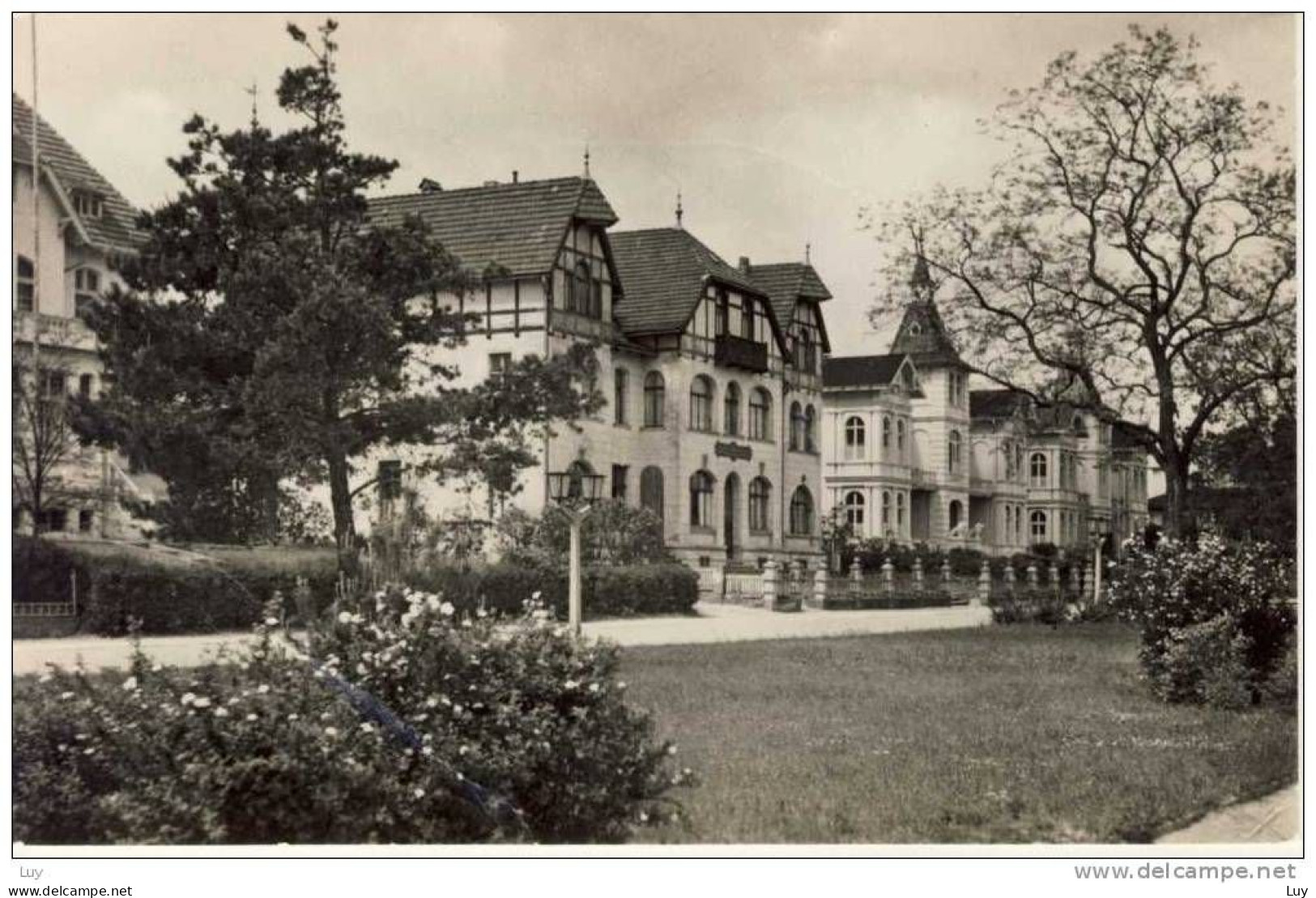 Ostseebad ZINNOWITZ - Usedom. Promenade Der Völkerfreundschaft, Real Photo, Echte Photogr., RPPC  - - Zinnowitz