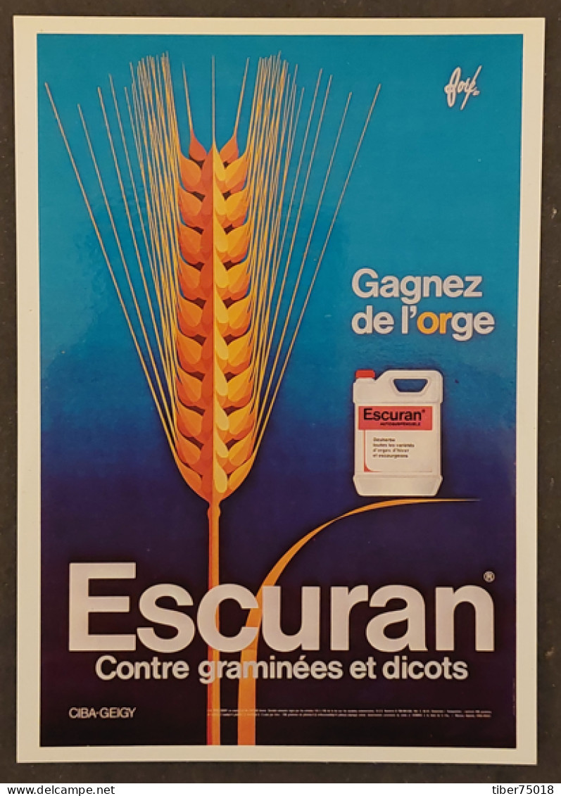 Carte Postale - Affiche Pour Un Désherbant "Ciba-Geigy" (1981) Illustration : Foré (épi D'orge) - Fore