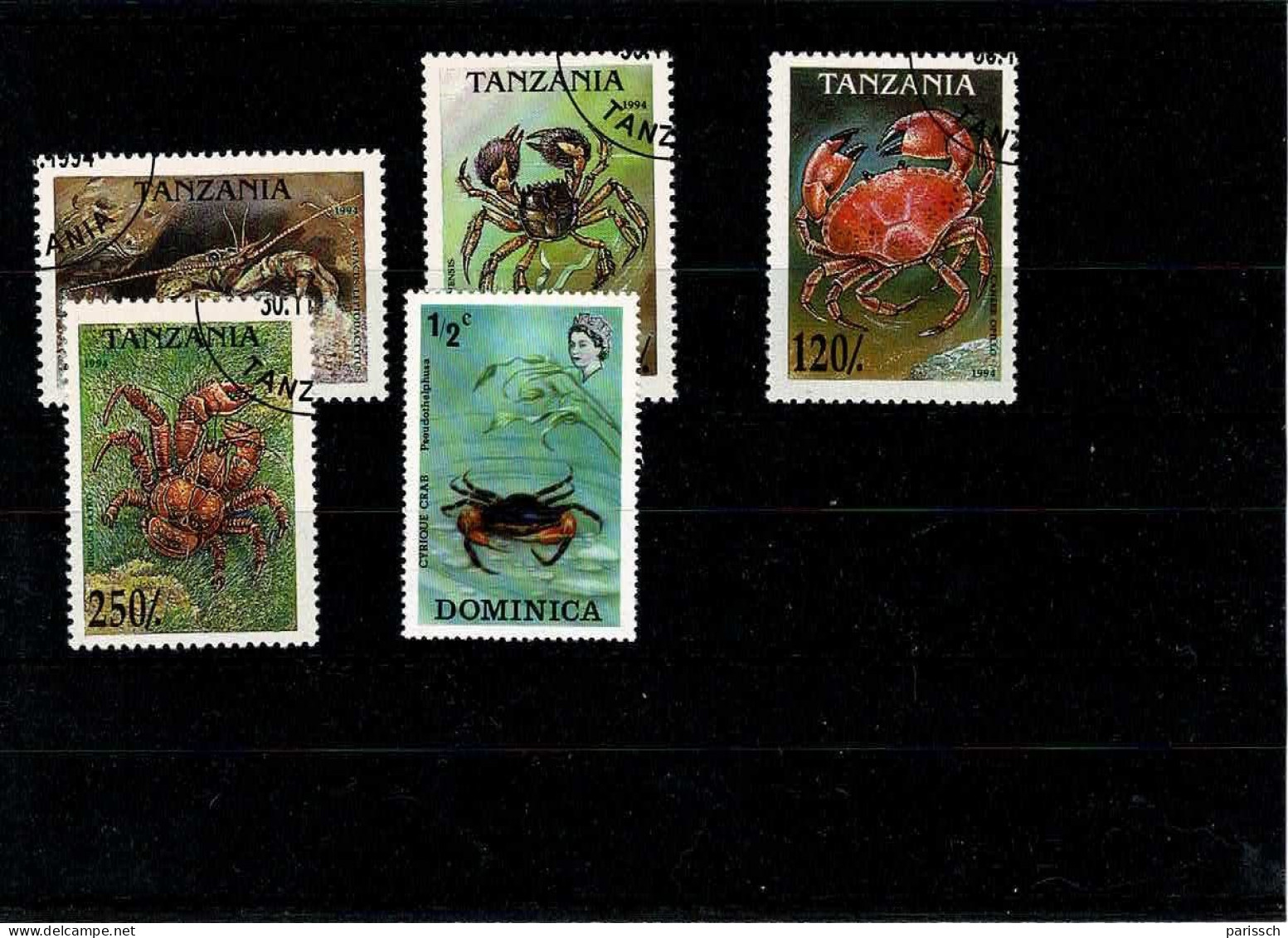 Crabes - Tanzanie, Dominique - Crustaceans