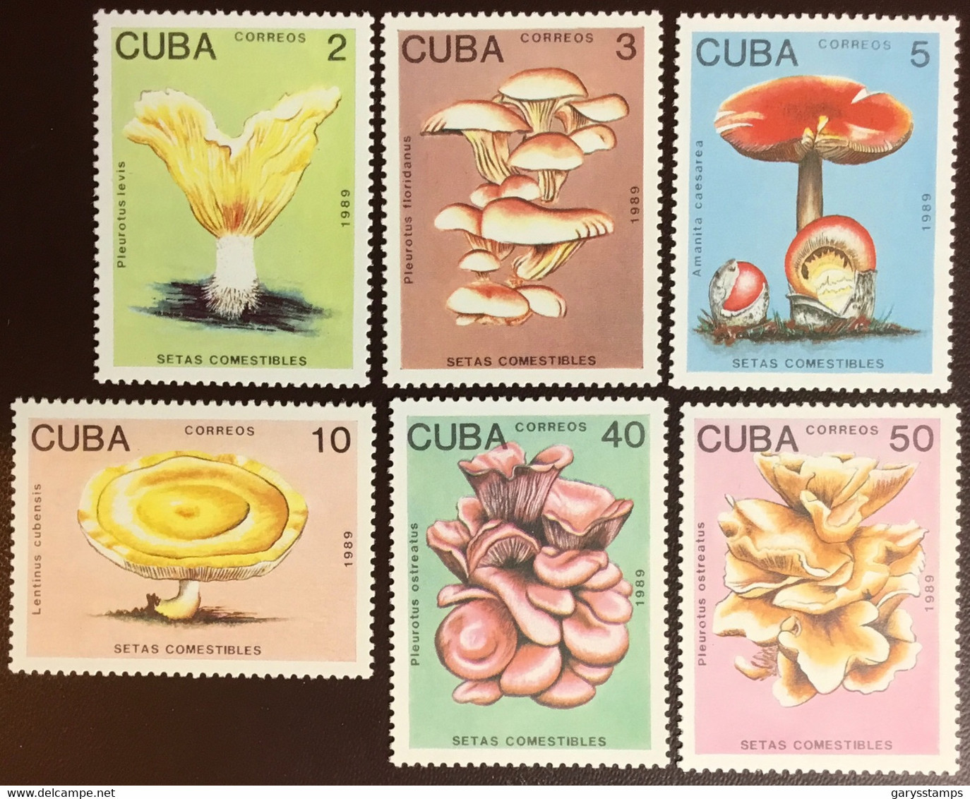 Cuba 1989 Mushrooms Fungi MNH - Hongos