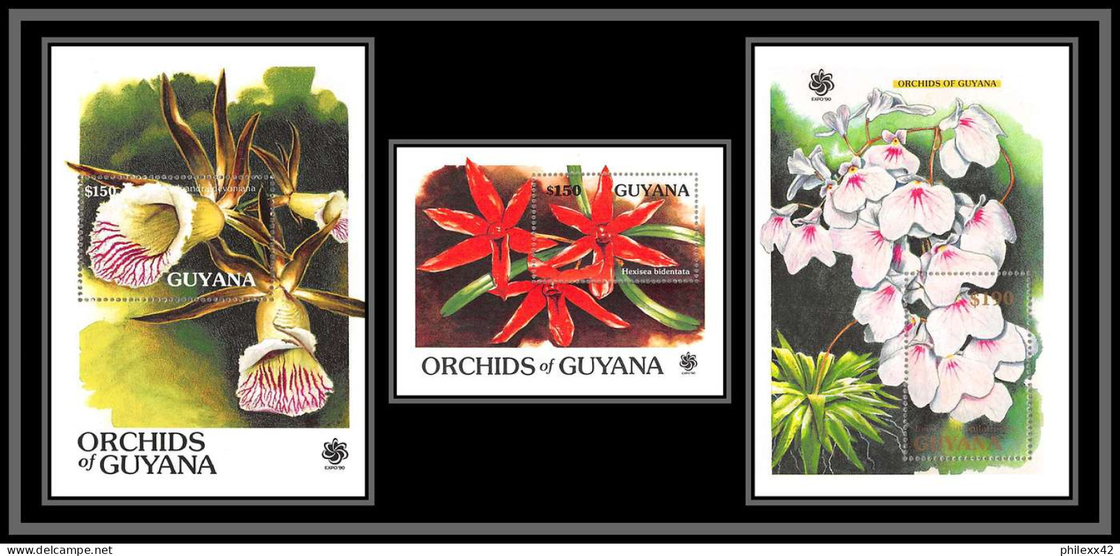 81020 Guyana Guyane Y&t BF N°51/53 Orchidées Orchids Neuf ** MNH Flowers Flower Fleurs EXPO 90 Osaka Japan 1990 - Orchidées