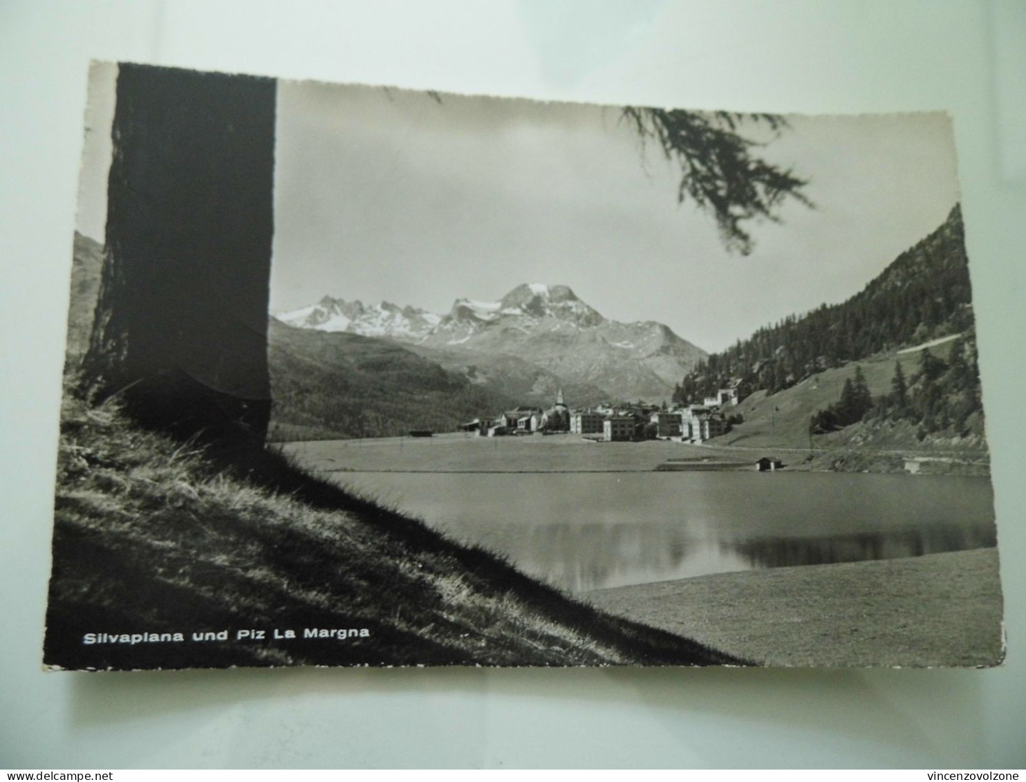 Cartolina Viaggiata "SILVAPLANA UND PIZ DELLA MAGNA" 1957 - Silvaplana