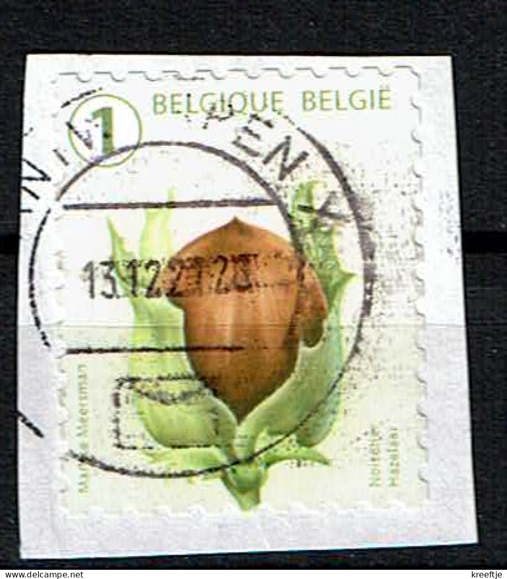 België / Belgique / Belgium / Belgien Hazelaar 2021 (OBP 5025 ) - Oblitérés