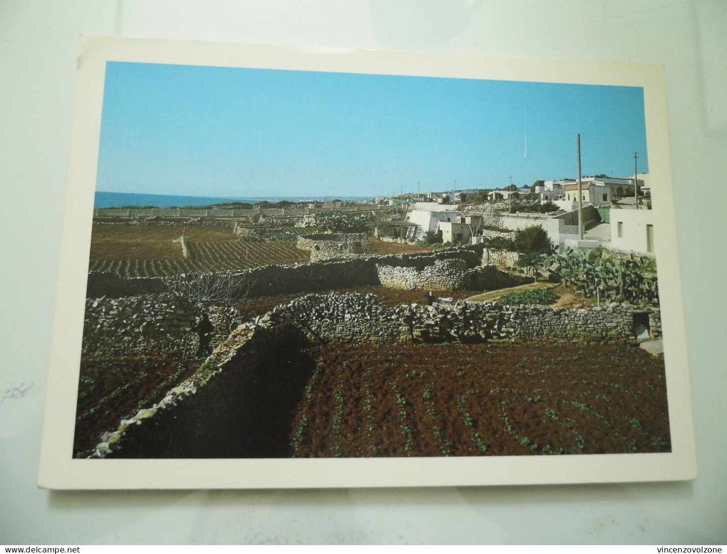 Cartolina "STRADA DI S. GREGORIO  ( LE )" - Lecce