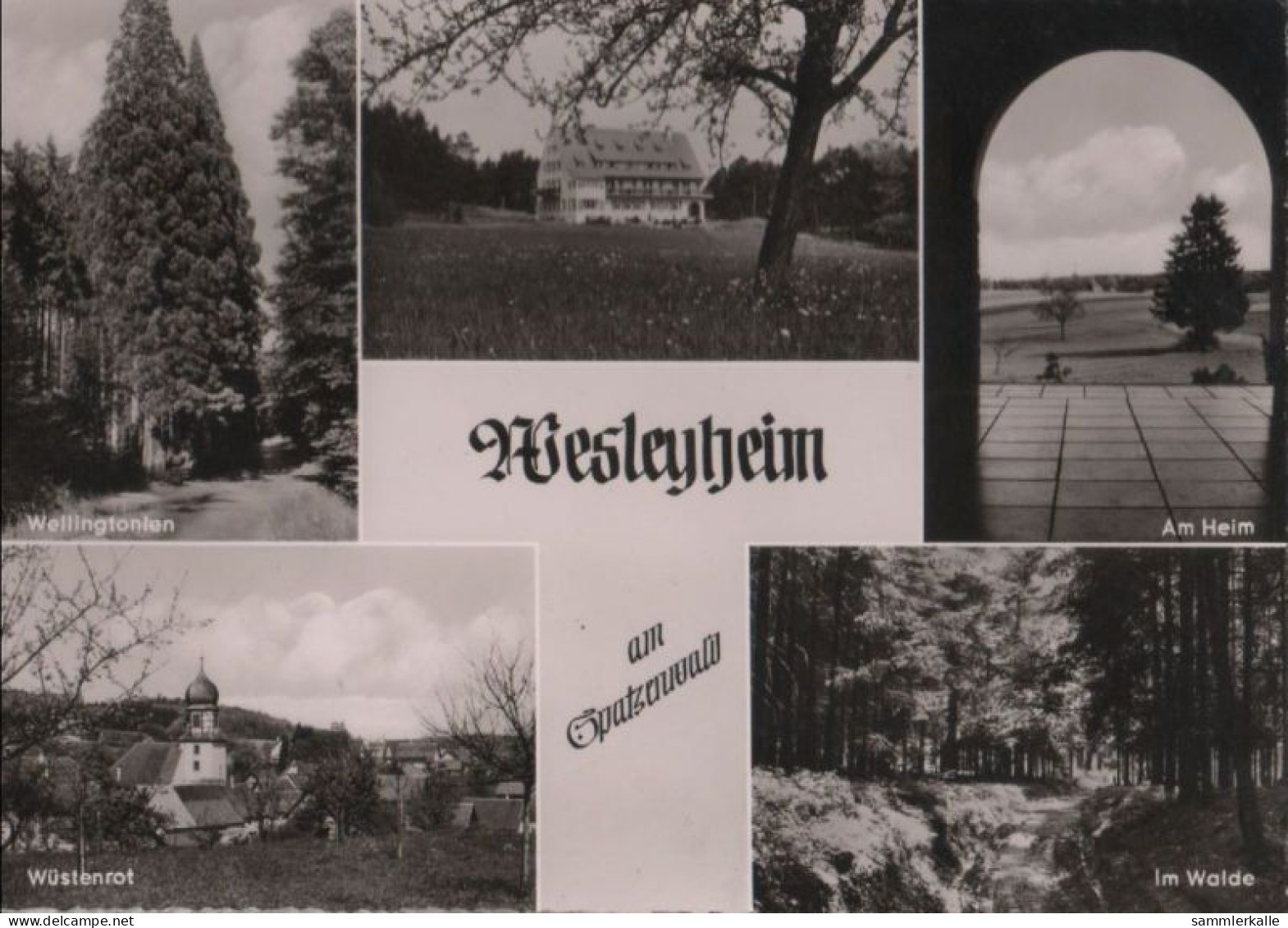 36871 - Wüstenrot - Wesleyheim - 1958 - Heilbronn
