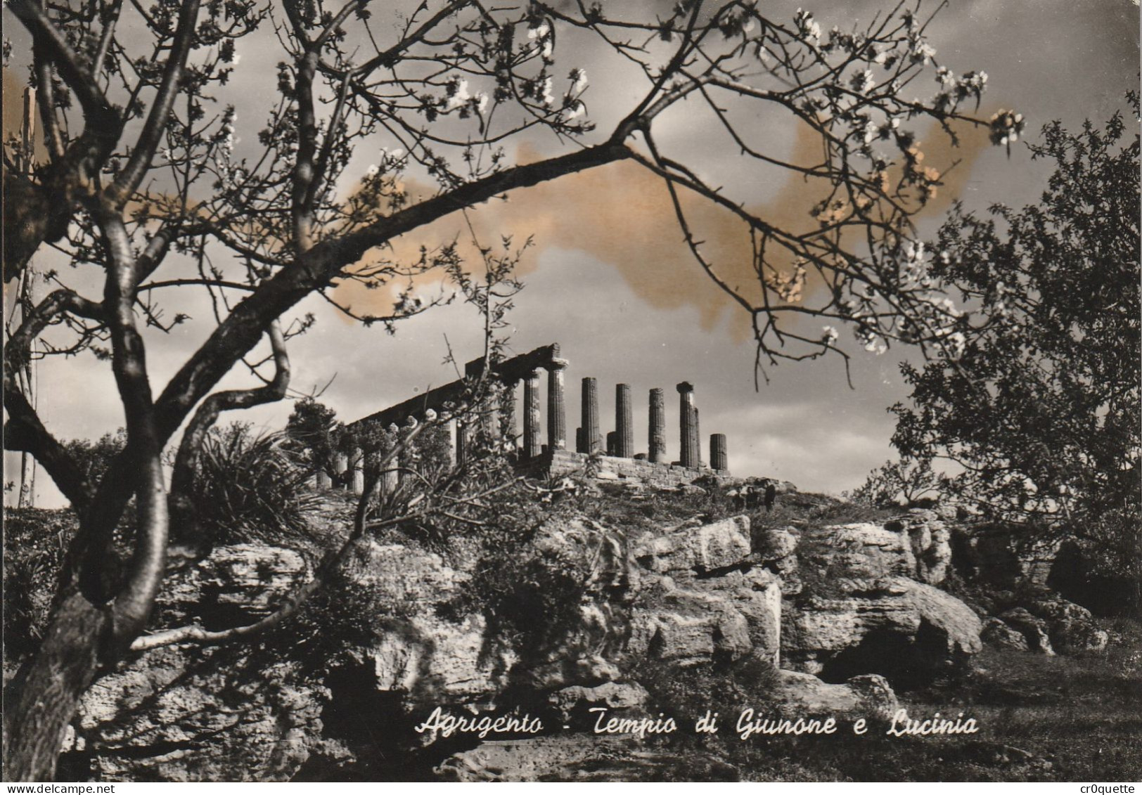 # ITALIE - SICILE - AGRIGENTO / TEMPLES En 5 CARTES POSTALES De 1951 à 1953 - Agrigento