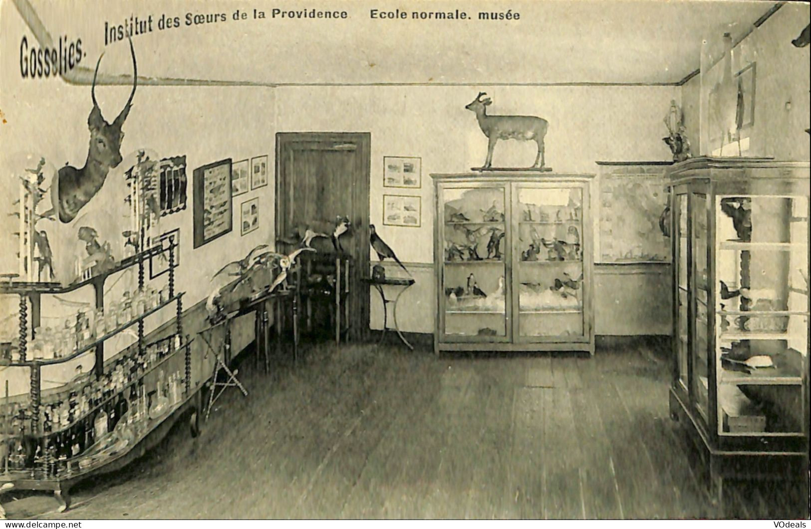 Belgique -  Hainaut - Charleroi - Institut Des Soeurs De La Providence - Ecole Normale - Musée - Charleroi