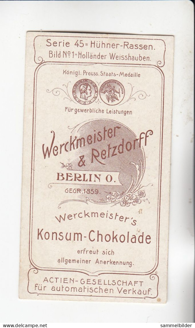 Actien Gesellschaft Hühner - Rassen Holländer Weisshauben  Serie  45 #1 Von 1900 - Stollwerck