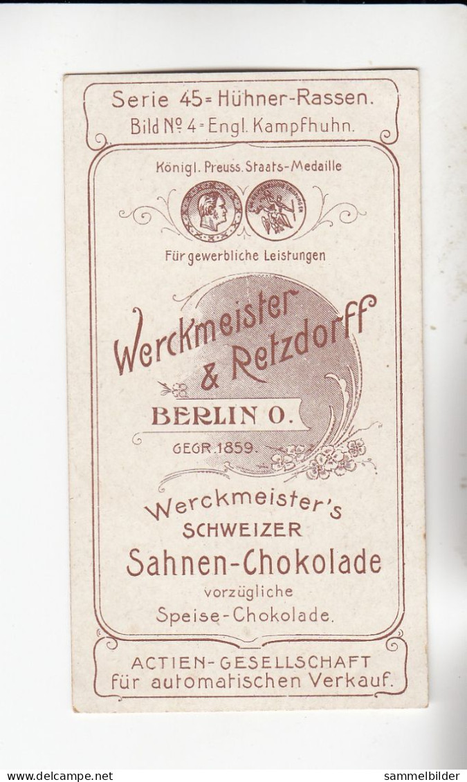 Actien Gesellschaft Hühner - Rassen Engl, Kampfhuhn    Serie  45 #4 Von 1900 - Stollwerck