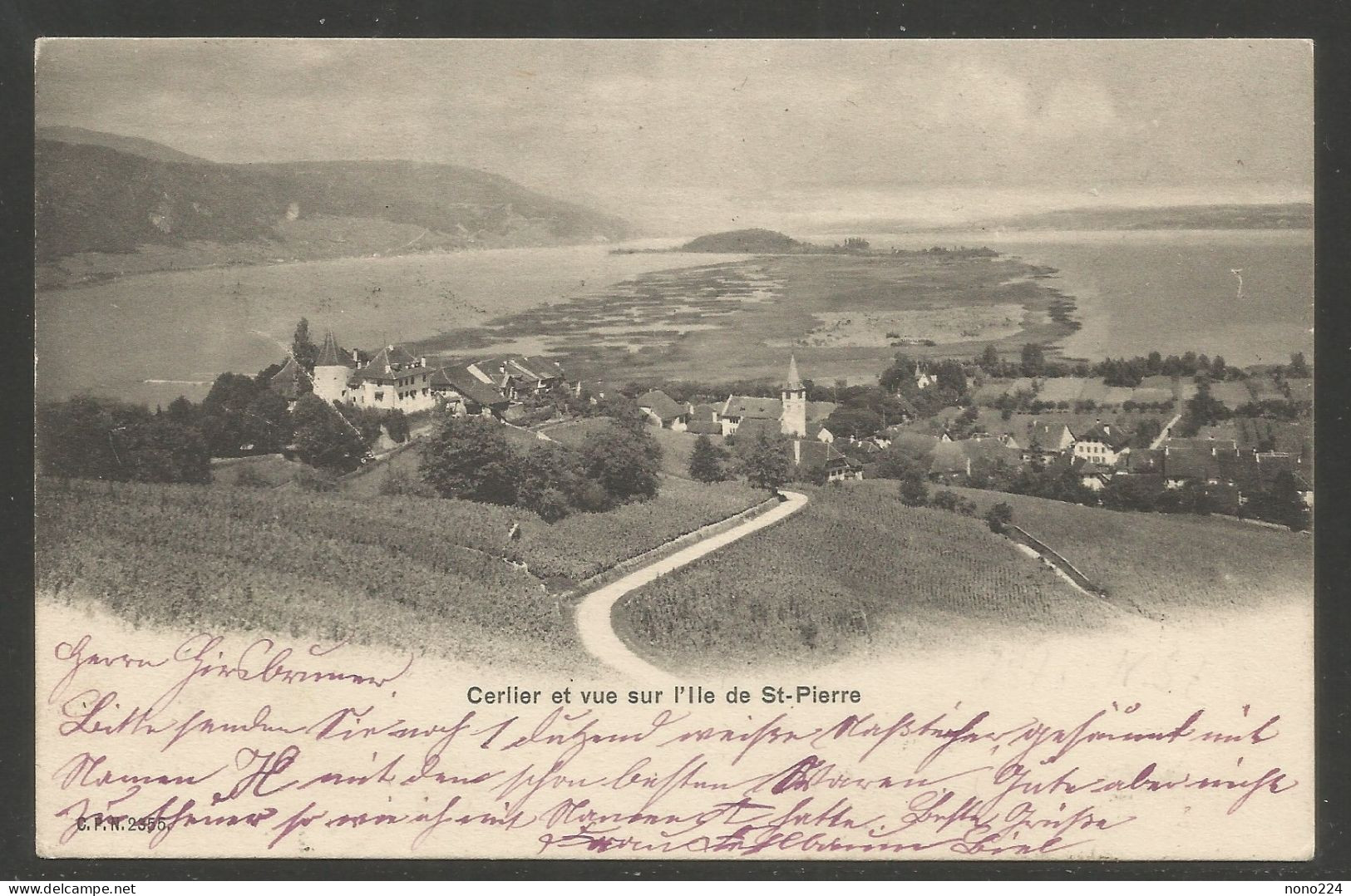 Carte P De 1904 ( Cerlier Et Vue Sur L'Ile De St-Pierre ) - Cerlier