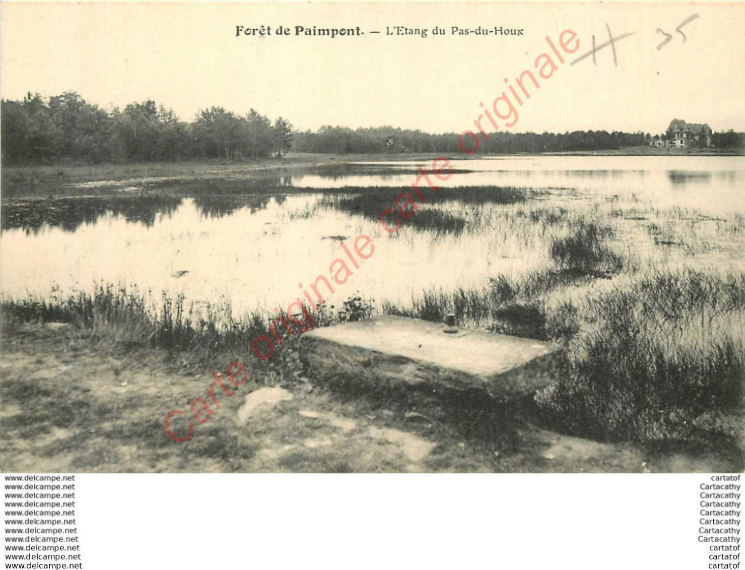35.  Forêt De PAIMPONT .  Etang Du Pas Du Houx . - Paimpont
