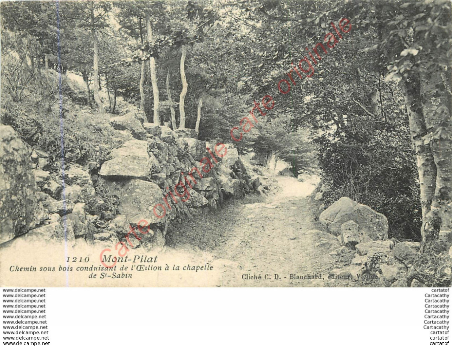 42.  MONT PILAT .  Chemin Sous Bois Conduisant De L'Oeillon à La Chapelle De Saint-Sabin . - Mont Pilat