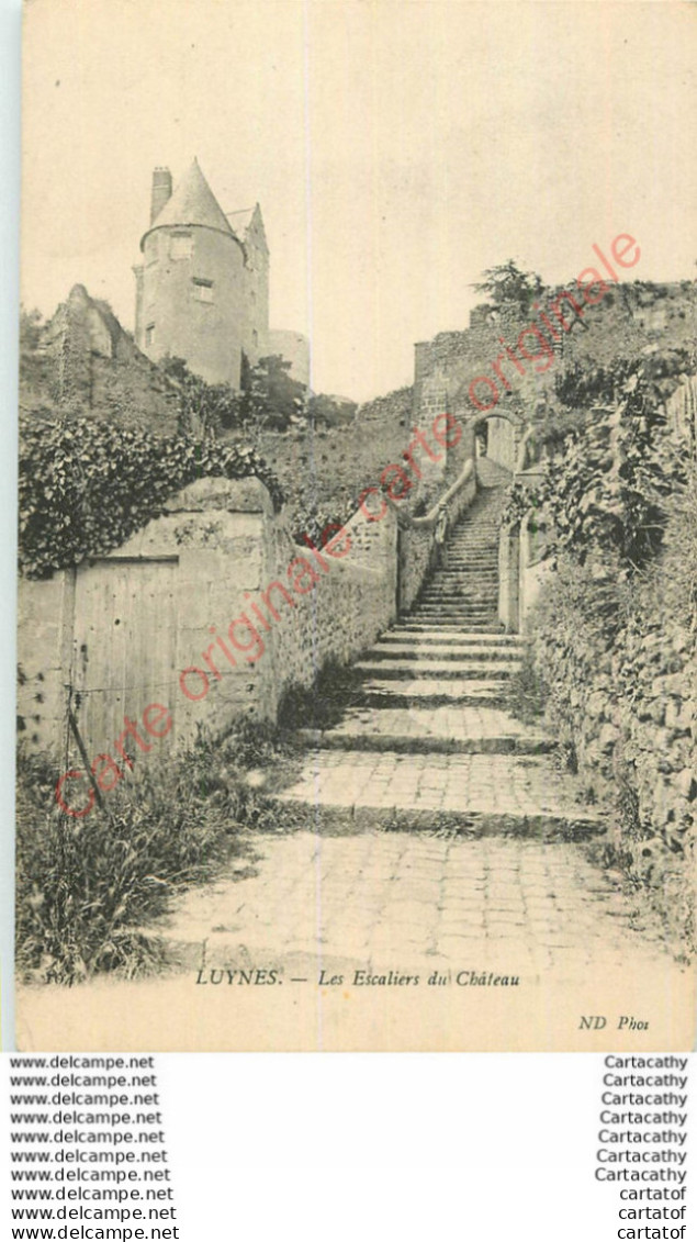13.  LUYNES . Les Escaliers Du Château . - Luynes