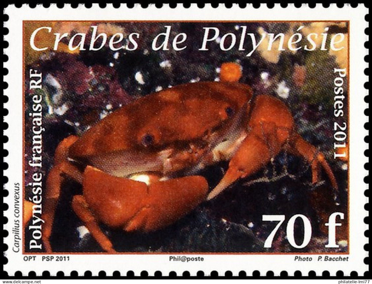 Timbre De Polynésie N° 937 Neuf ** - Unused Stamps