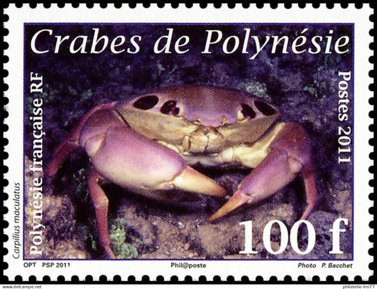 Timbre De Polynésie N° 938 Neuf ** - Unused Stamps