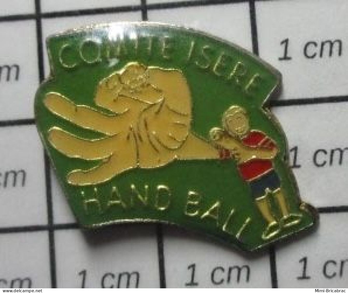 2020 Pin's Pins / Beau Et Rare / SPORTS / COMITE ISERE HANDBALL - Handbal