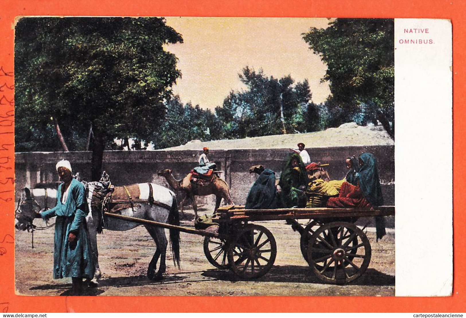 33962 / ⭐Ethnic Egypt ◉ Native Omnibus ◉ Attelage Cheval Local 1900s ◉ LICHTENSTERN & HARARI N° 69 Egypte - Persons