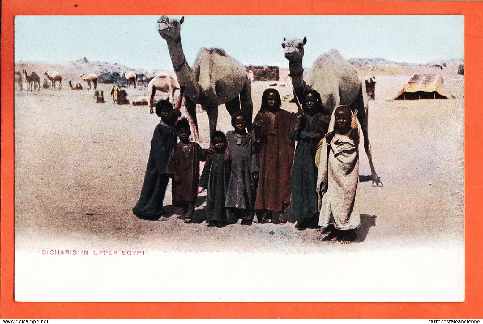 33839 / Ethnic ◉ BICHARIS In Upper EGYPT Tribu BISHARI Haute-Egypte 1900s ◉ LICHTENSTERN-HARARI L & H Cairo 75 - Persons