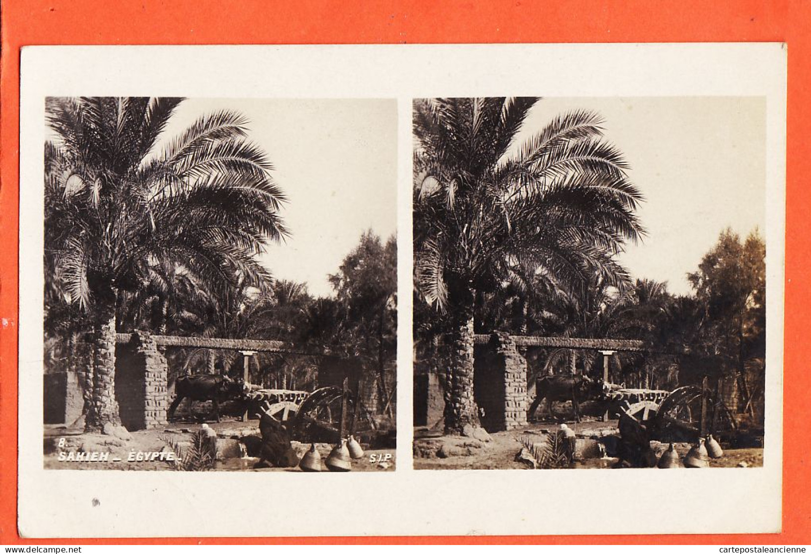 33835 / ⭐ ♥️ Rare Stereo-Carte-Photo-Bromure SAKIEH Water Wheel Roue à Eau Oasis Egyptienne 1910s S.I.P 8 Egypte  - Other & Unclassified