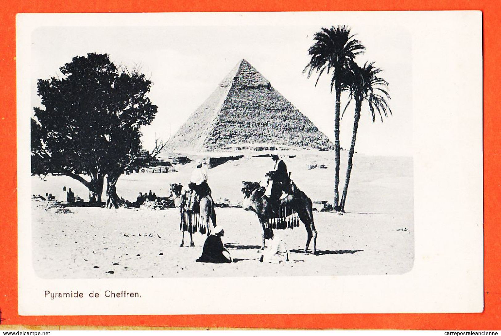 33848 / ⭐ LE CAIRE  Cairo Pyramide De CHEFFREN Arbre Palmiers 2 Dromadaires 1900s  Egypte Egypt - Cairo