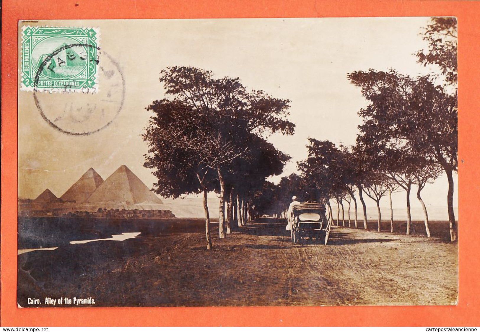 33801 / ⭐  Carte-Photo CAIRO Egypt Alley Of The Pyramids LE CAIRE VoitAllée Des Pyramides 1908 à Alexandre PENTECOUTEAU - Cairo