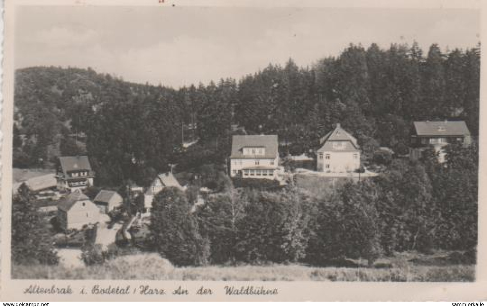 2832 - Altenbrak - An Der Waldbühne - 1962 - Altenbrak