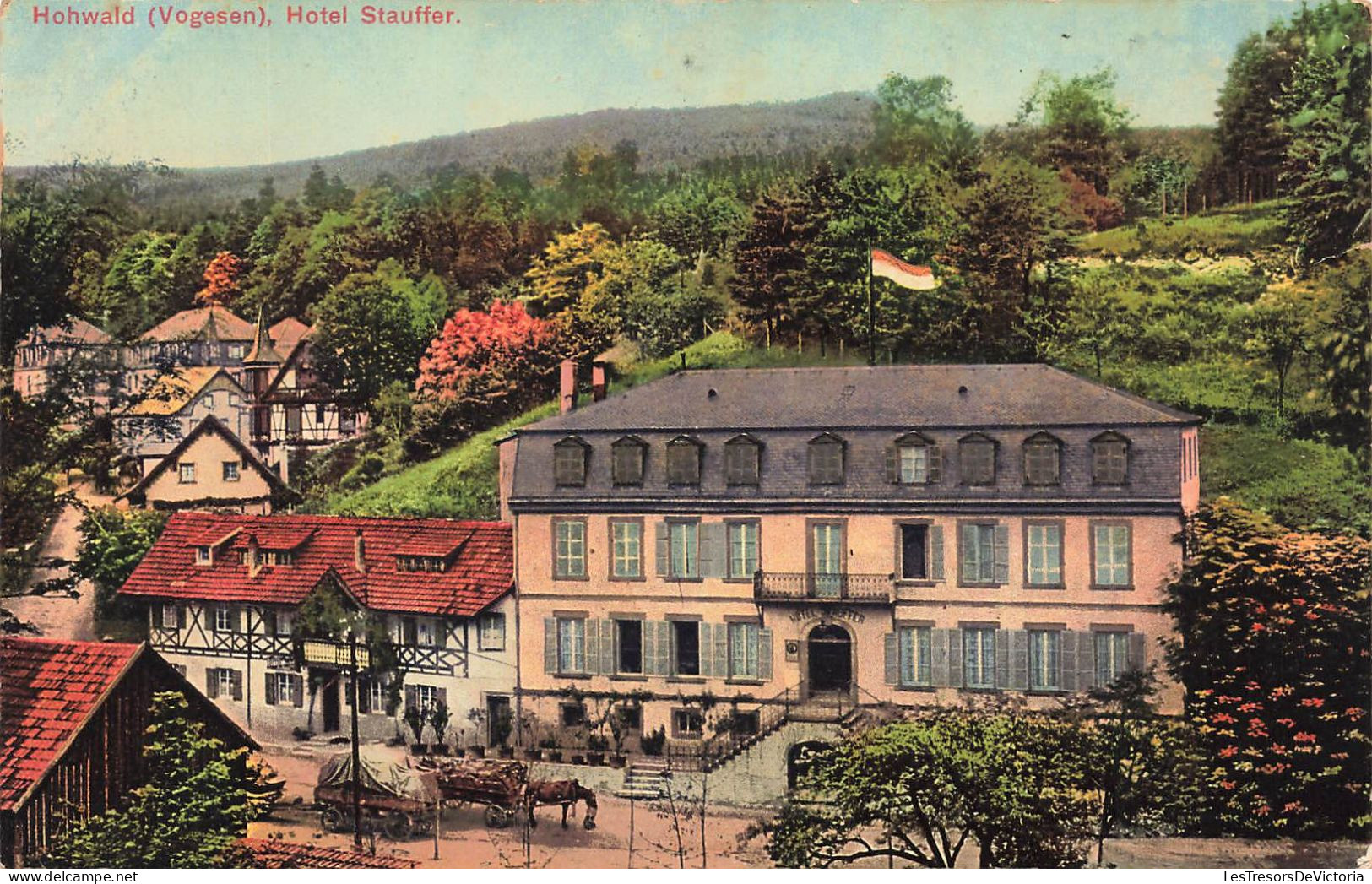 ALLEMAGNE - Hohwald (Vegesen) - Hôtel Stauffer - Vue Générale - Vue De L'extérieure - Carte Postale Ancienne - Hohwald (Sachsen)