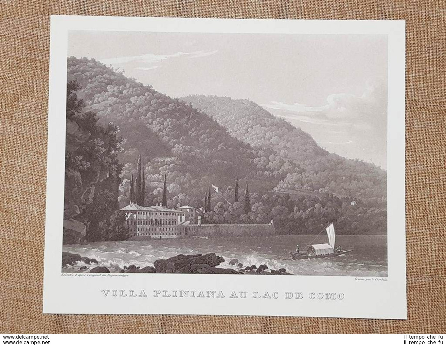 La Villa Pliniana Sul Lago Di Como Incisione Di L. Cherbuin Del 1840 Ristampa - Sonstige & Ohne Zuordnung