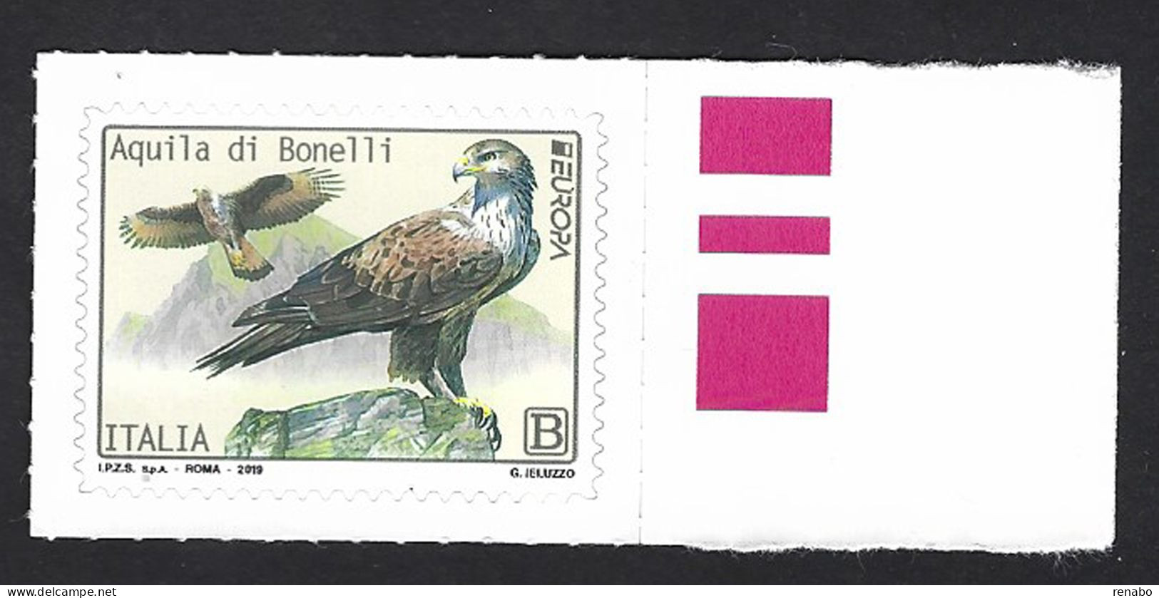 Italia, Italy, Italie, Italien 2019; Aquila Di Bonelli, Bonelli's Eagle; Bordo Destro. - Eagles & Birds Of Prey
