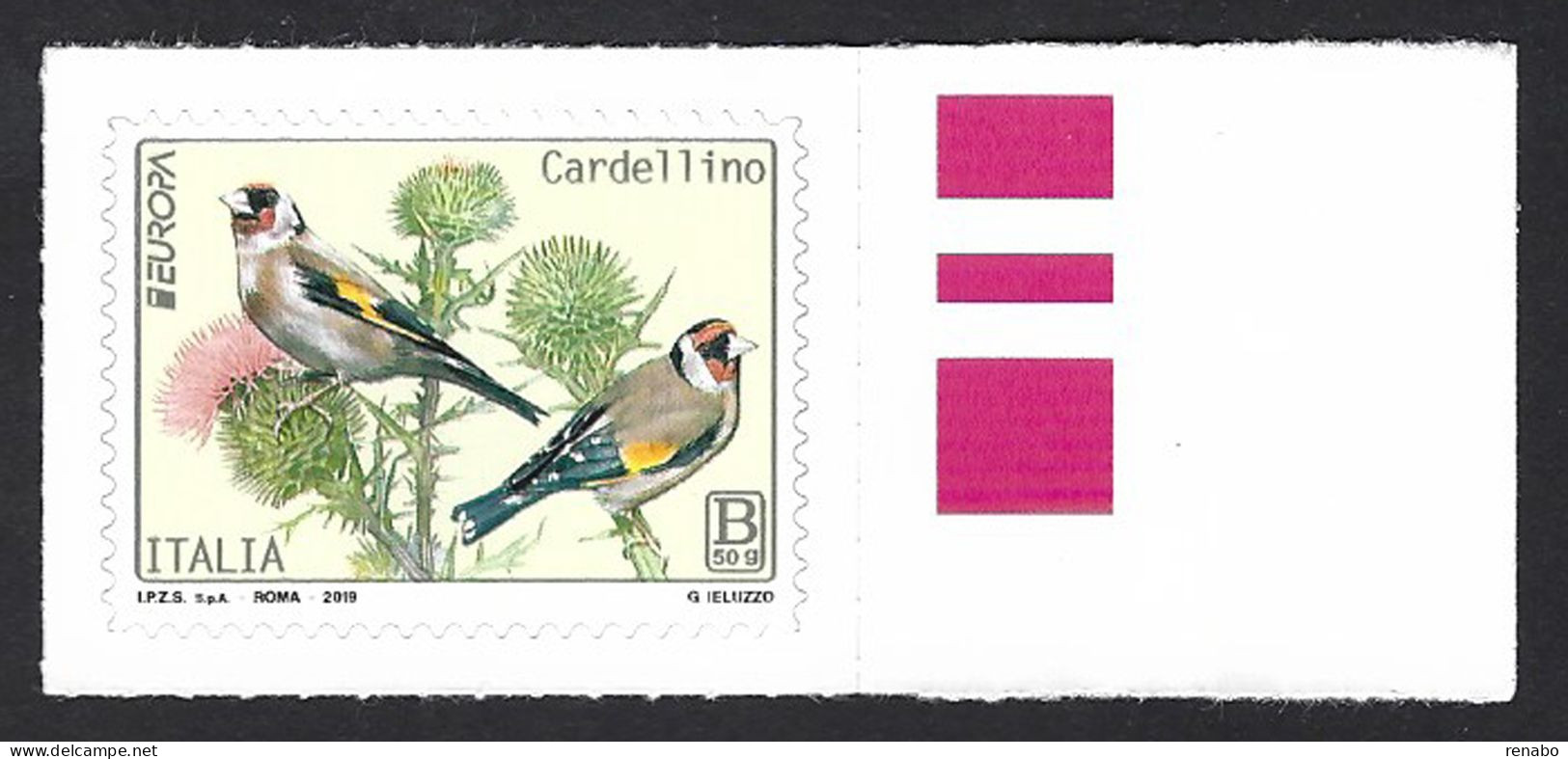 Italia, Italy, Italie, Italien 2019; Cardellino Sul Ramo, Two Goldfinches On The Branch; B-50g ,bordo. - Moineaux