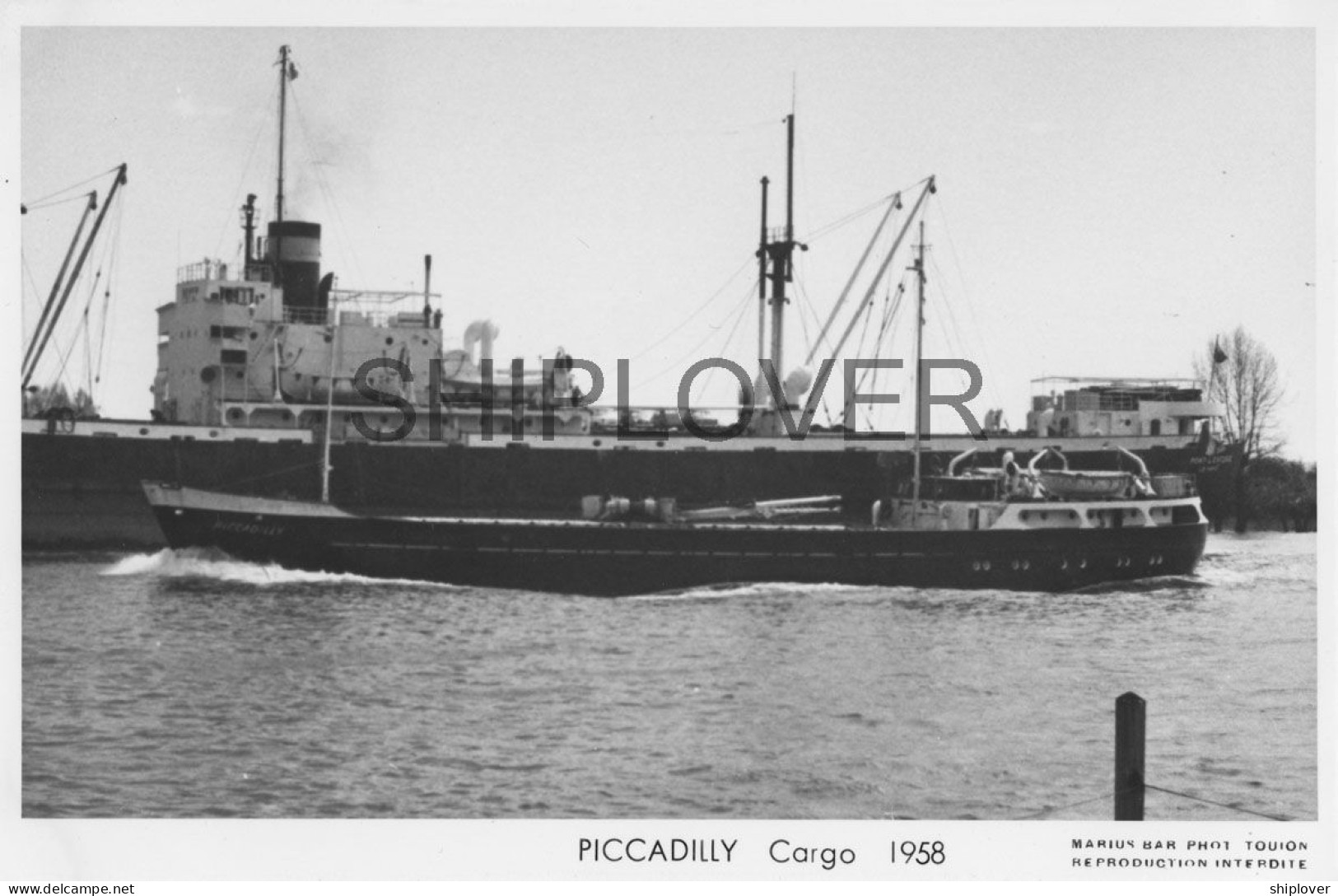 Cargo Français PICADILLY - Carte Photo éditions Marius Bar - Bateau/ship/schiff - Koopvaardij