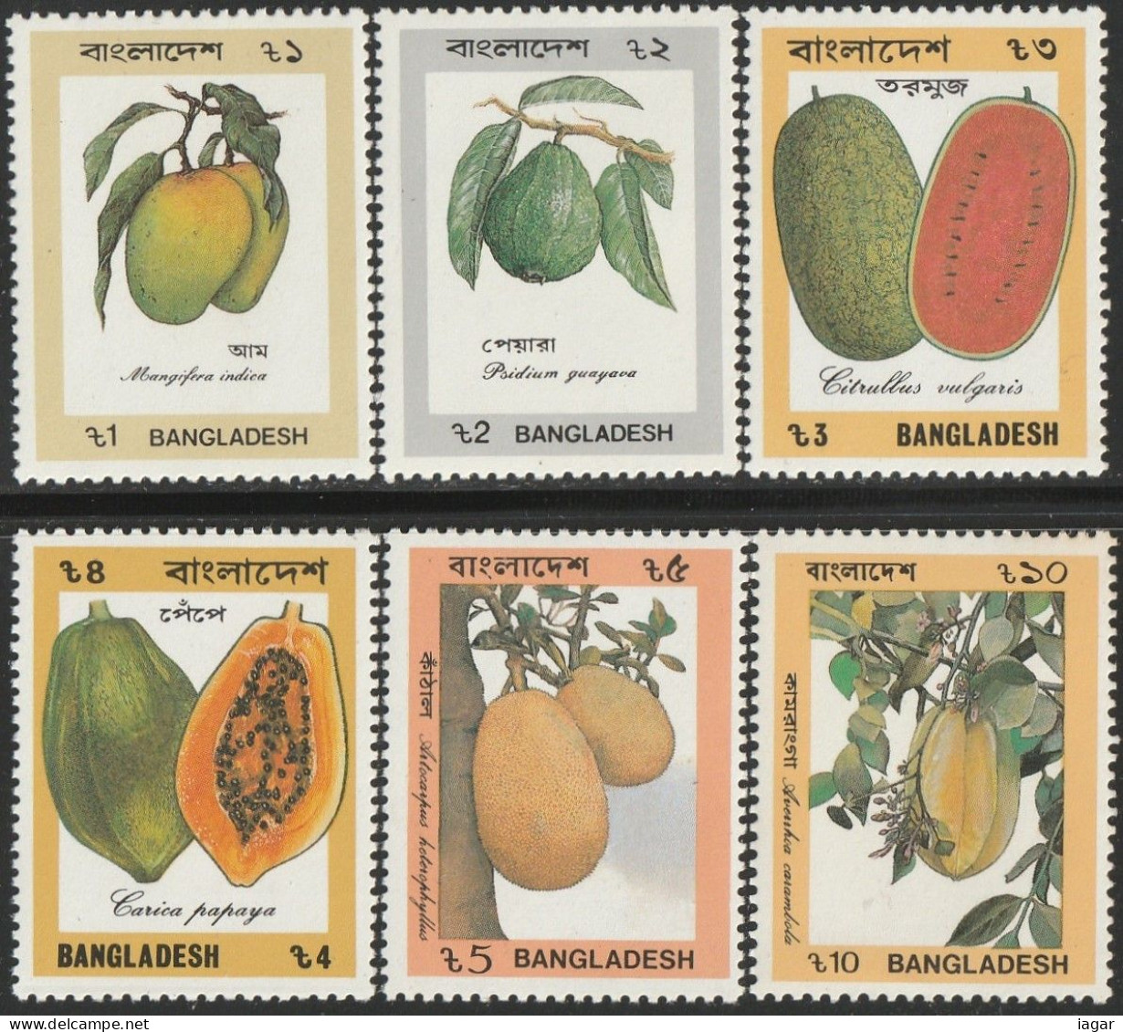 THEMATIC FLORA:  TROPICAL FRUITS.  MANGO, GUAVA, WATER MELON, PAPAYA, BREAD FRUIT, CARAMBOLA     -   BANGLADESH - Fruits