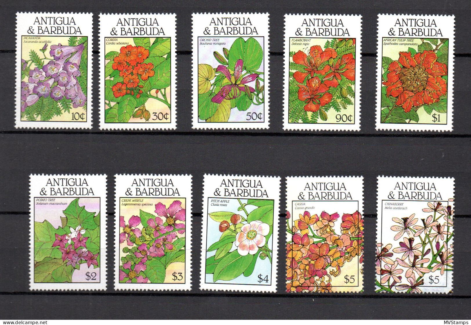 Antigua & Barbuda 1988 Set Flowers/Blumen Stamps (Michel 1151/58) Nice MNH - Antigua And Barbuda (1981-...)