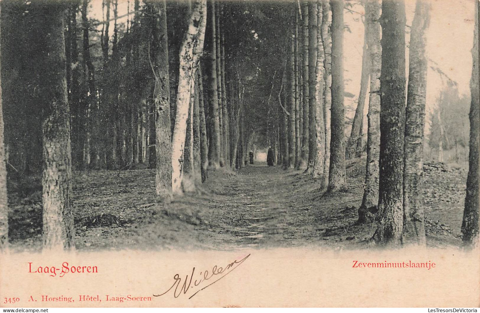 PAYS-BAS - Laag Soeren - Zevenminuutslaantje - A Horsting - Hôtel - Laag Socren - Un Chemin - Carte-Postale Ancienne - Rheden