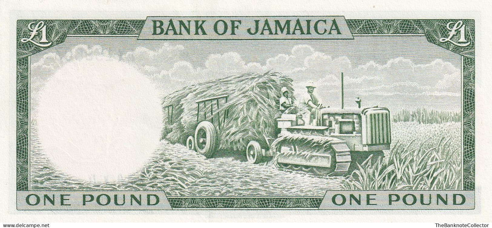 Jamaica 1 Pound ND 1960 QEII P-51 UNC - Giamaica