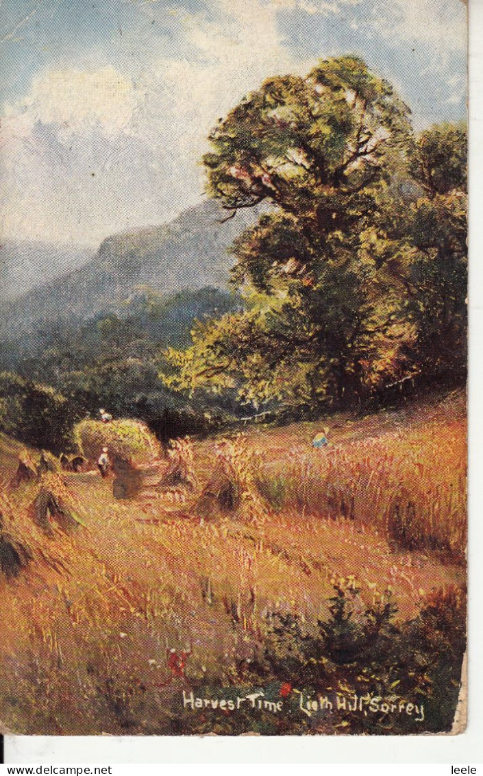 CJ17.Vintage Postcard. Harvest Time. Lieth Hill, (Leith Hill), Surrey - Surrey