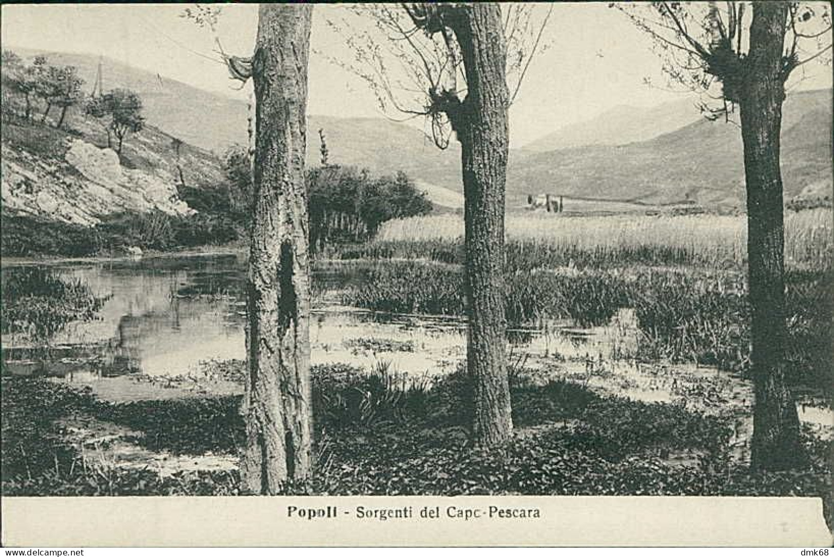 POPOLI ( PESCARA ) SORGENTI DEL CAPO PESCARA - EDIZIONE MARTOCCHIA - 1930s (20351) - Pescara