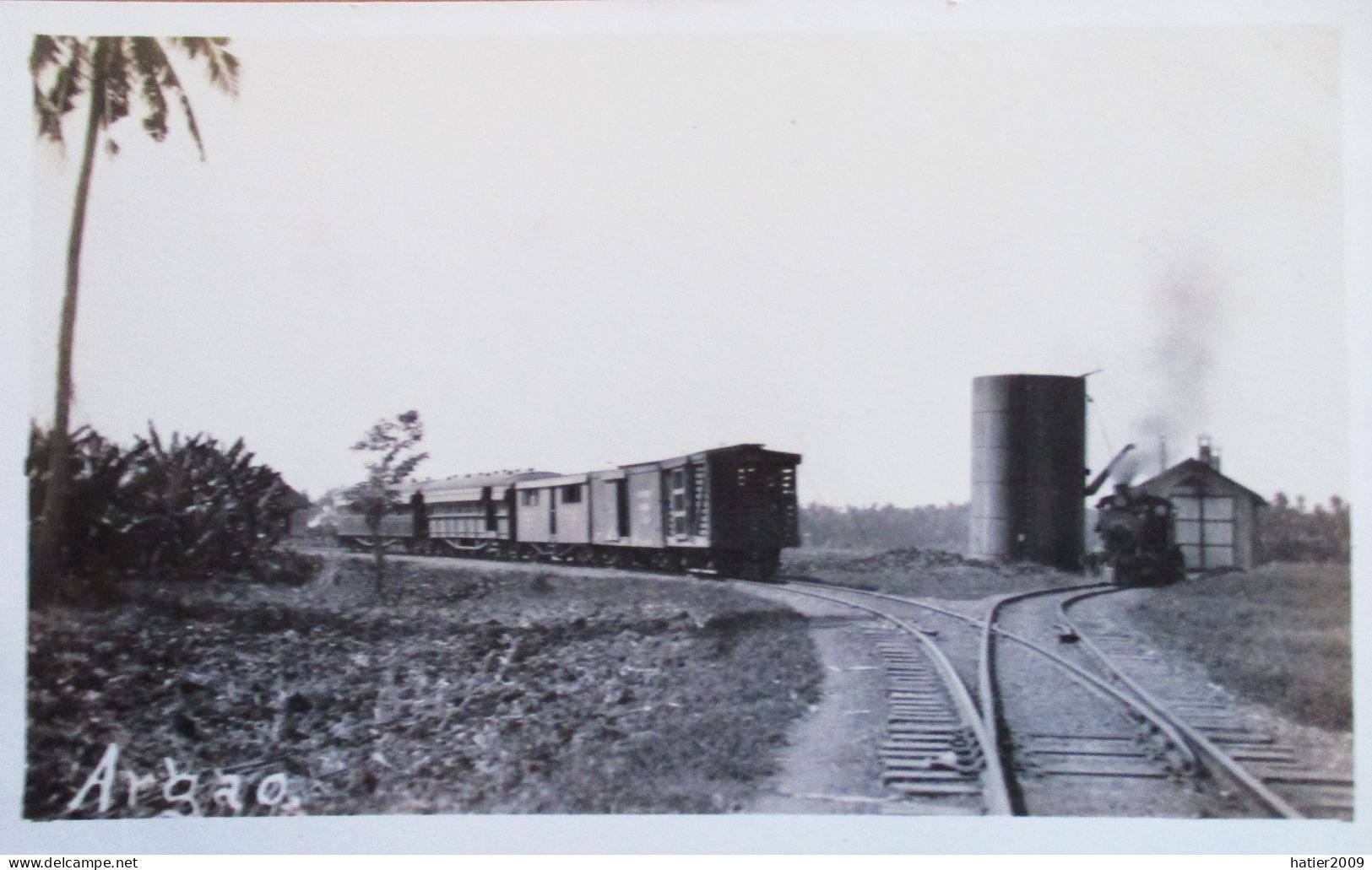 Real Photo RPPC -  ARGAO In CEBU Teo Trains - Philippines