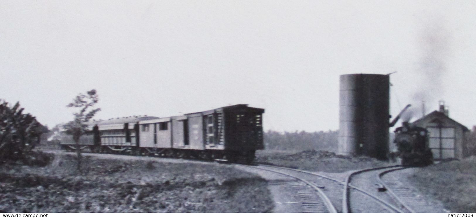 Real Photo RPPC -  ARGAO In CEBU Teo Trains - Philippinen