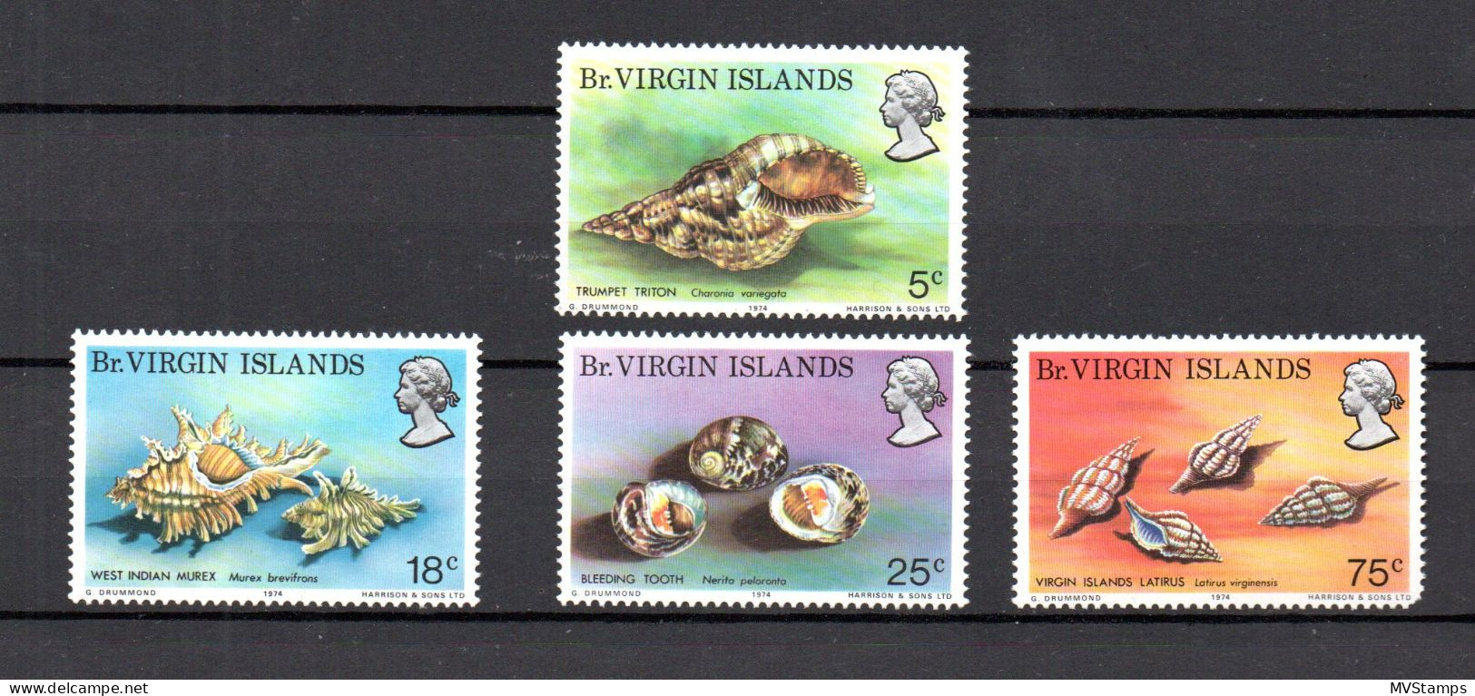 Virgin Islands 1974 Set Shells/Coral/Sealife/Marine Stamp (Michel 274/77) MNH - Britse Maagdeneilanden