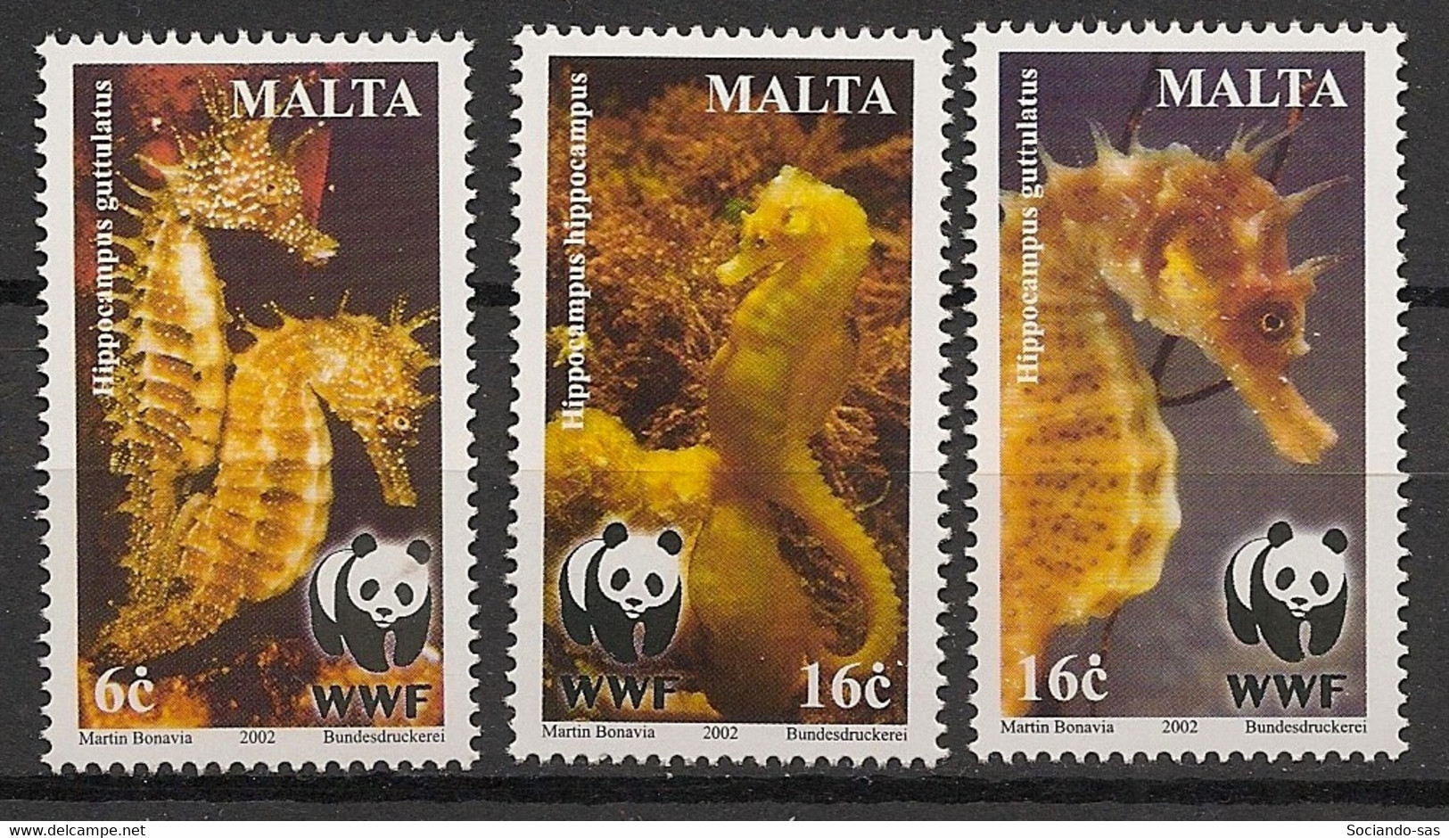 MALTA - 2002 - N°YT. 1178 à 1180 - 3v - Hippocampe / WWF - Neuf Luxe ** / MNH / Postfrisch - Fishes