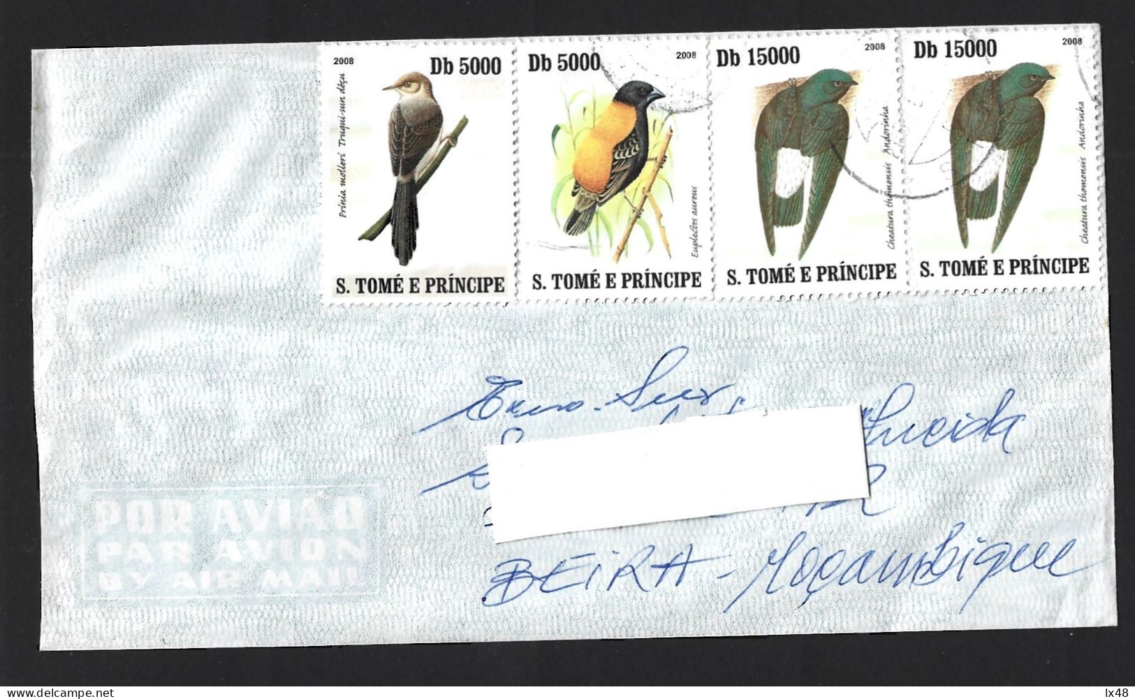 Birds Of S. Tomé And Príncipe. Swallow, Cheatura Thomensis, Euplectes Aureus, Prínia Mollerí. Pássaros De S. Tomé. Ando - São Tomé Und Príncipe