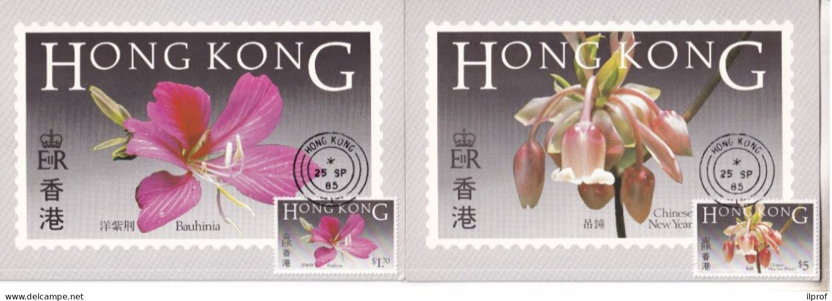 Flowers Of Hong Kong - 6 Maximum Cards 1985  Rif. S358 - Cartes-maximum
