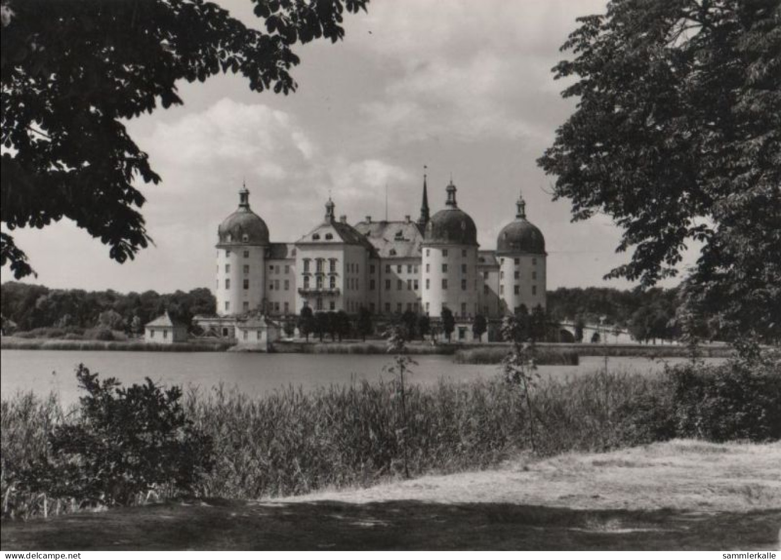 81899 - Moritzburg - Schloss, Barockmuseum - 1983 - Moritzburg