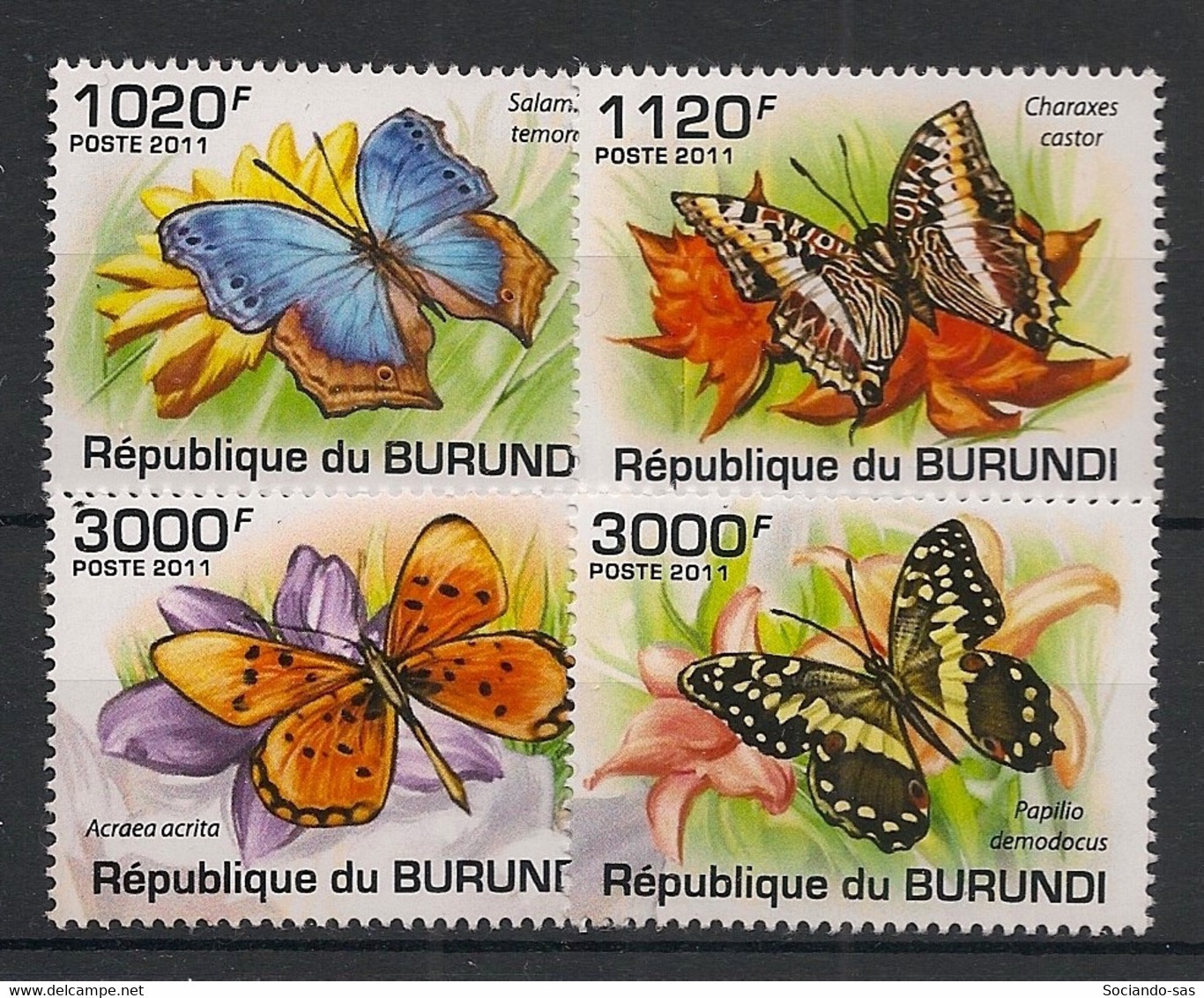 BURUNDI - 2011 - N° Mi. 2122 à 2125 - Papillons / Butterflies - Neuf Luxe ** / MNH / Postfrisch - Vlinders