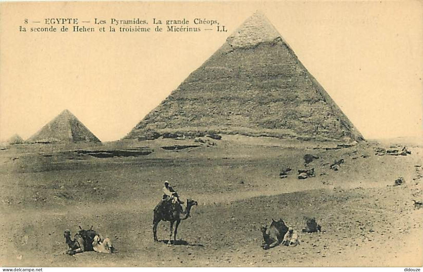 Egypte - Gizeh - Les Pyramides - La Grande De Chéops - La Seconde De Hehen Et La Troisième De Micérinus - Animée - Chame - Guiza